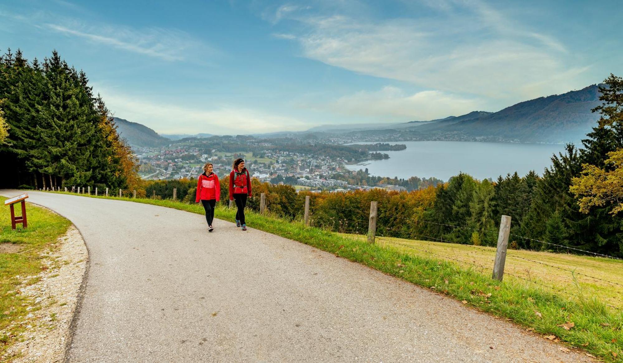 Apartmenthotel 'S Mitterndorf Traunkirchen Luaran gambar